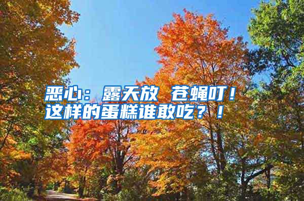 惡心：露天放 蒼蠅叮！ 這樣的蛋糕誰敢吃？！