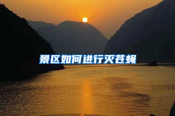 景區(qū)如何進(jìn)行滅蒼蠅