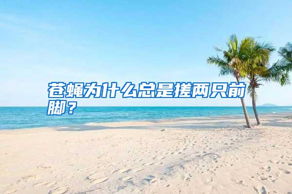 蒼蠅為什么總是搓兩只前腳？