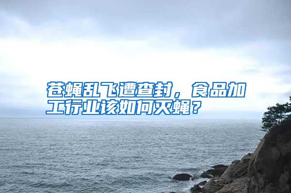 蒼蠅亂飛遭查封，食品加工行業該如何滅蠅？