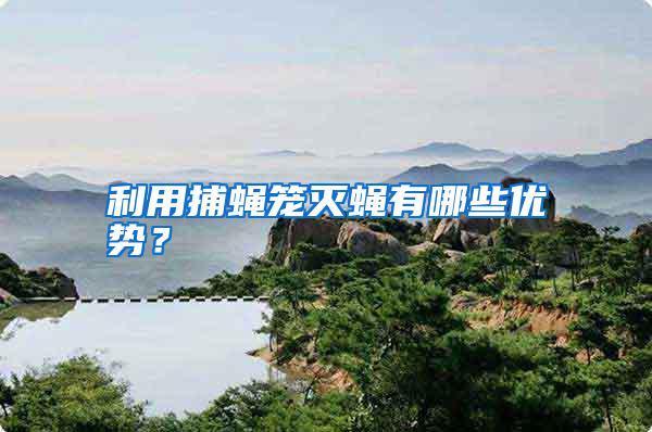 利用捕蠅籠滅蠅有哪些優勢？