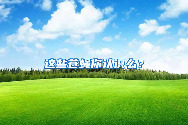 這些蒼蠅你認(rèn)識么？
