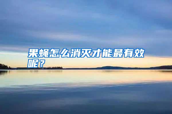 果蠅怎么消滅才能最有效呢？