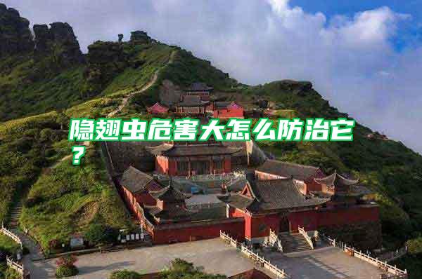 隱翅蟲危害大怎么防治它？