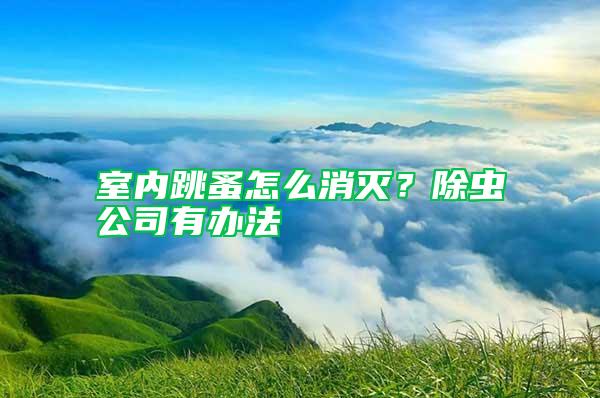 室內(nèi)跳蚤怎么消滅？除蟲(chóng)公司有辦法