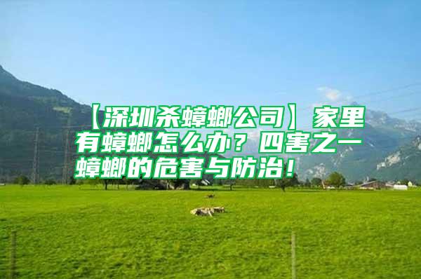 【深圳殺蟑螂公司】家里有蟑螂怎么辦？四害之一蟑螂的危害與防治！