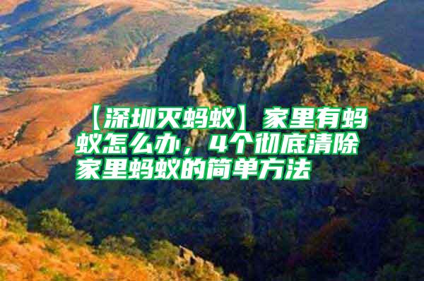 【深圳滅螞蟻】家里有螞蟻怎么辦，4個徹底清除家里螞蟻的簡單方法