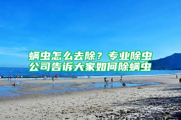 螨蟲怎么去除？專業(yè)除蟲公司告訴大家如何除螨蟲