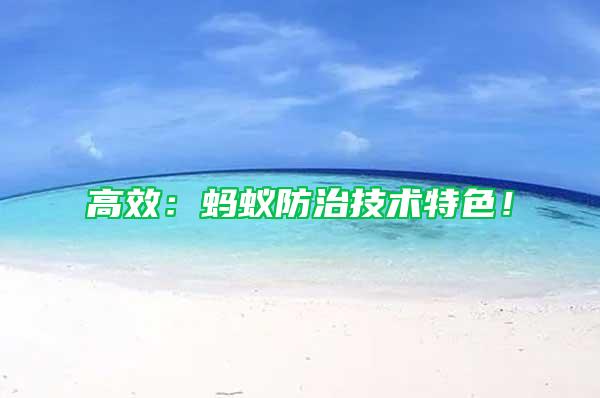 高效：螞蟻防治技術特色！