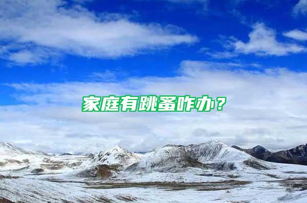 家庭有跳蚤咋辦？