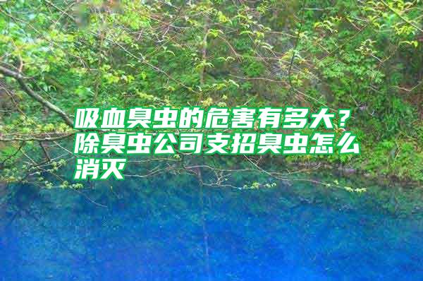 吸血臭蟲(chóng)的危害有多大？除臭蟲(chóng)公司支招臭蟲(chóng)怎么消滅