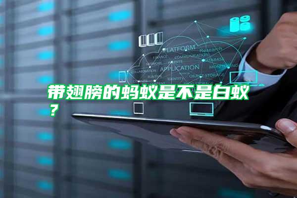 帶翅膀的螞蟻是不是白蟻？