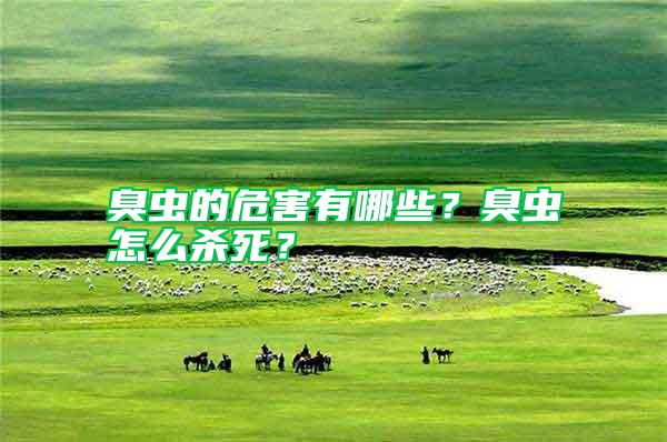 臭蟲的危害有哪些？臭蟲怎么殺死？