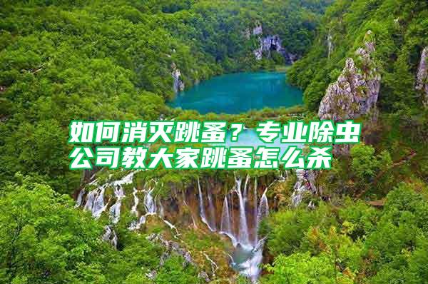 如何消滅跳蚤？專業除蟲公司教大家跳蚤怎么殺
