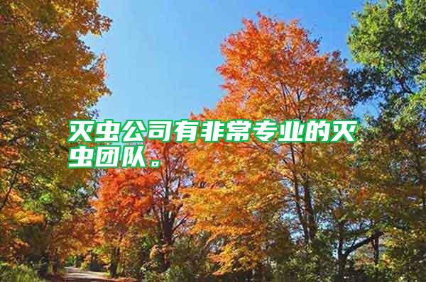滅蟲(chóng)公司有非常專業(yè)的滅蟲(chóng)團(tuán)隊(duì)。