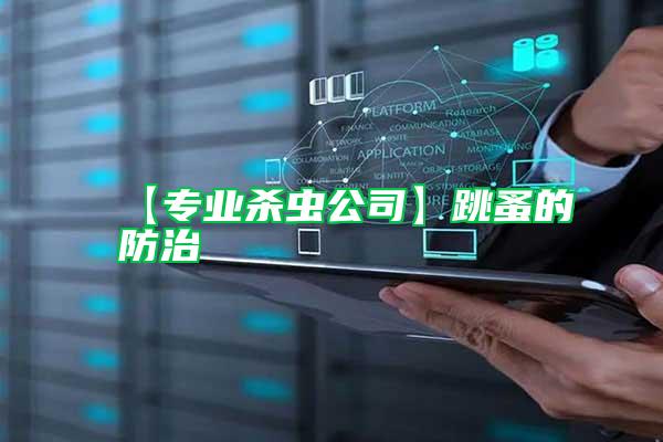 【專業(yè)殺蟲公司】跳蚤的防治
