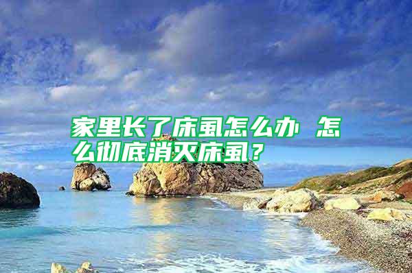 家里長了床虱怎么辦 怎么徹底消滅床虱？