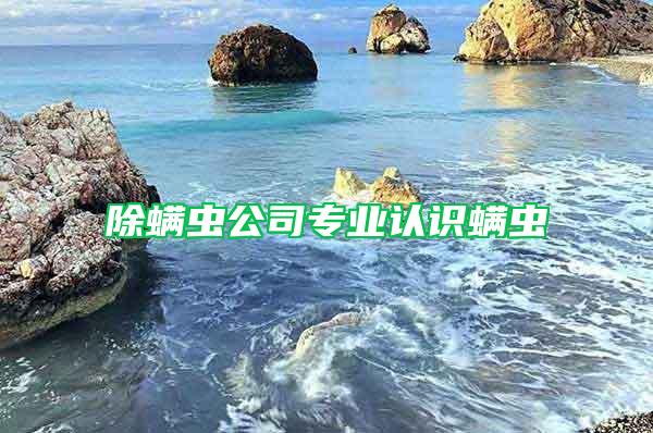 除螨蟲公司專業(yè)認(rèn)識螨蟲