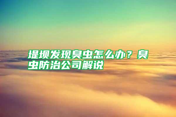 堤壩發現臭蟲怎么辦？臭蟲防治公司解說
