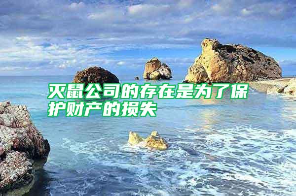 滅鼠公司的存在是為了保護財產(chǎn)的損失