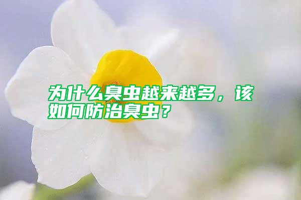 為什么臭蟲越來越多，該如何防治臭蟲？
