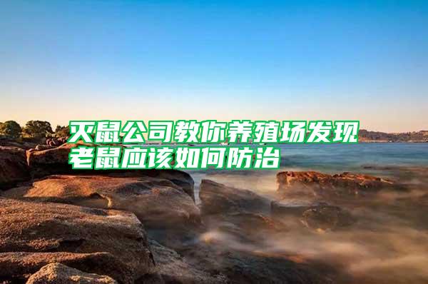 滅鼠公司教你養(yǎng)殖場(chǎng)發(fā)現(xiàn)老鼠應(yīng)該如何防治
