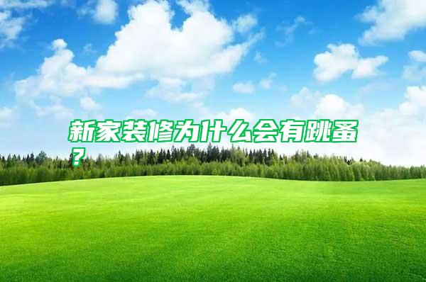 新家裝修為什么會有跳蚤？