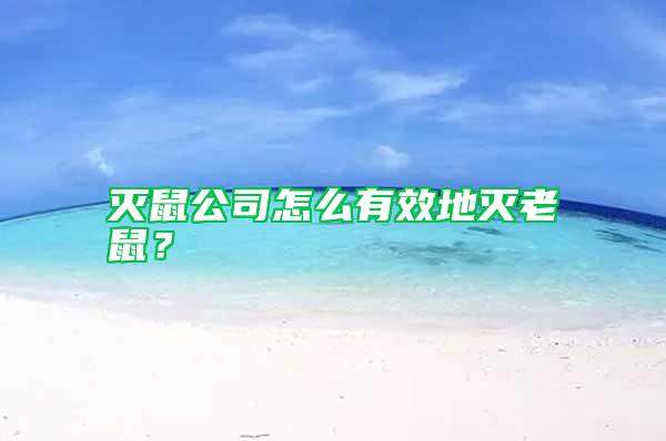 滅鼠公司怎么有效地滅老鼠？