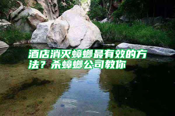 酒店消滅蟑螂最有效的方法？殺蟑螂公司教你