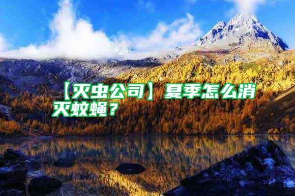 【滅蟲(chóng)公司】夏季怎么消滅蚊蠅？