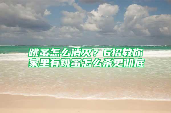 跳蚤怎么消滅？6招教你家里有跳蚤怎么殺更徹底