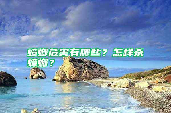 蟑螂危害有哪些？怎樣殺蟑螂？