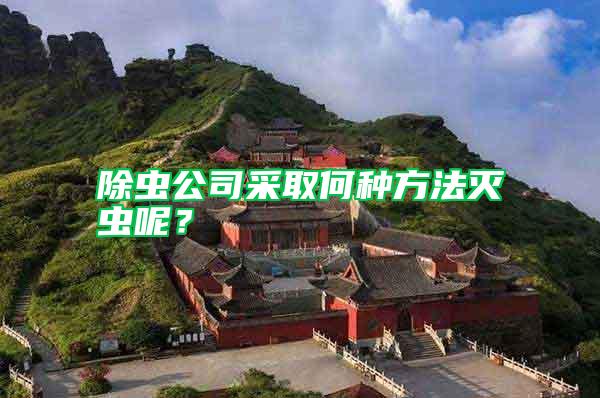 除蟲公司采取何種方法滅蟲呢？