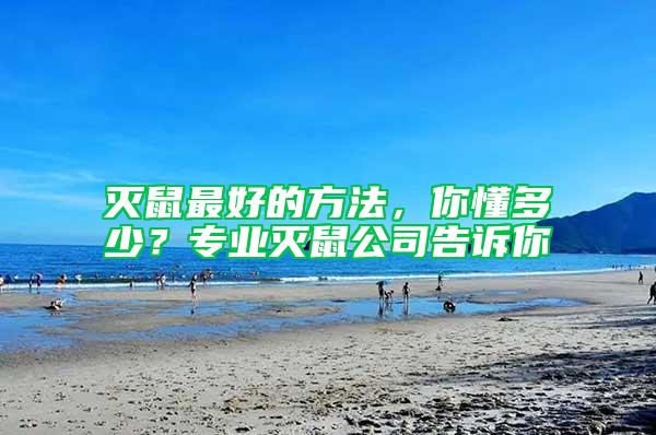 滅鼠最好的方法，你懂多少？專業滅鼠公司告訴你