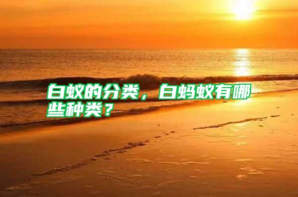 白蟻的分類，白螞蟻有哪些種類？