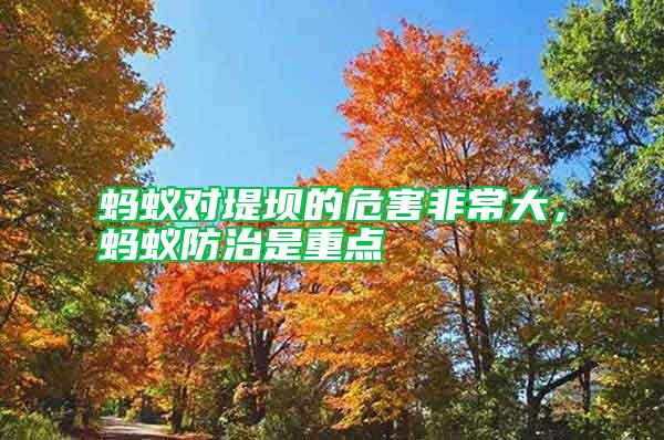 螞蟻對堤壩的危害非常大，螞蟻防治是重點(diǎn)