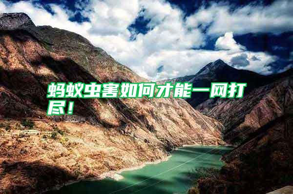 螞蟻蟲害如何才能一網打盡！