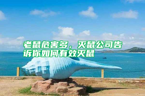 老鼠危害多，滅鼠公司告訴你如何有效滅鼠
