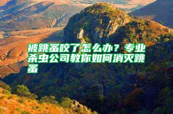 被跳蚤咬了怎么辦？專業(yè)殺蟲(chóng)公司教你如何消滅跳蚤
