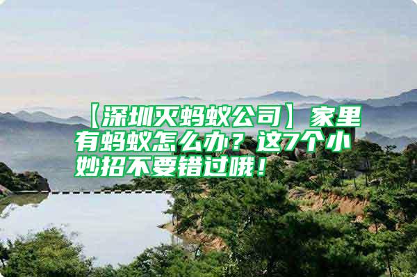 【深圳滅螞蟻公司】家里有螞蟻怎么辦？這7個小妙招不要錯過哦！