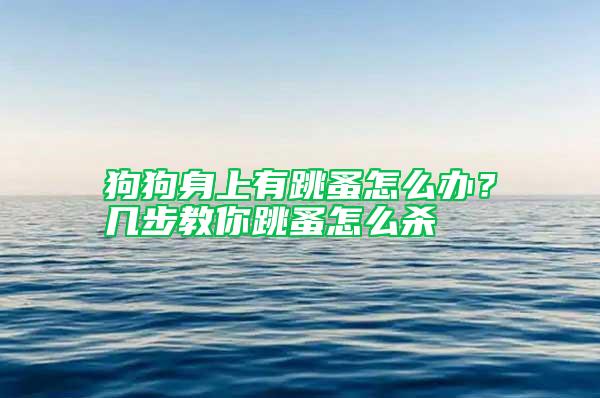 狗狗身上有跳蚤怎么辦？幾步教你跳蚤怎么殺