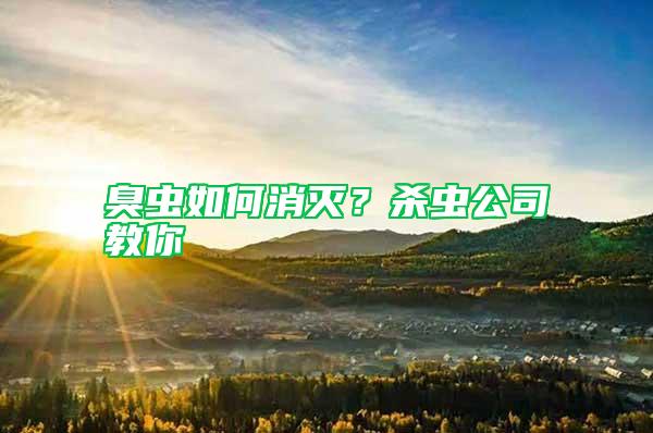 臭蟲如何消滅？殺蟲公司教你