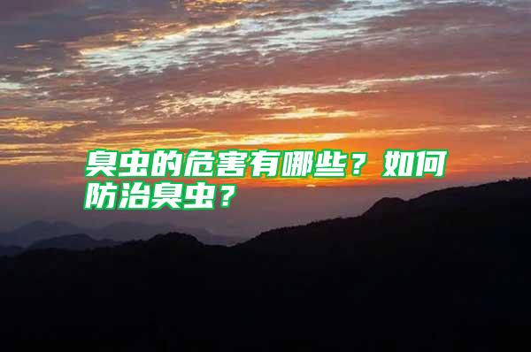 臭蟲的危害有哪些？如何防治臭蟲？