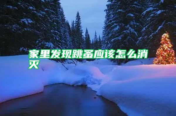 家里發(fā)現跳蚤應該怎么消滅