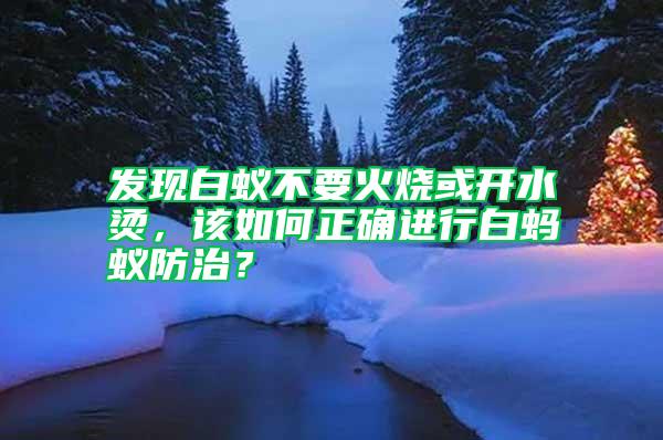發(fā)現(xiàn)白蟻不要火燒或開水燙，該如何正確進行白螞蟻防治？