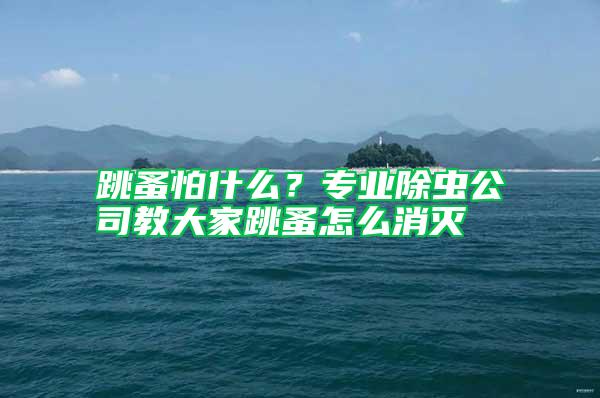 跳蚤怕什么？專業(yè)除蟲公司教大家跳蚤怎么消滅