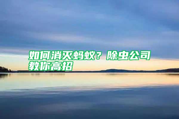 如何消滅螞蟻？除蟲公司教你高招