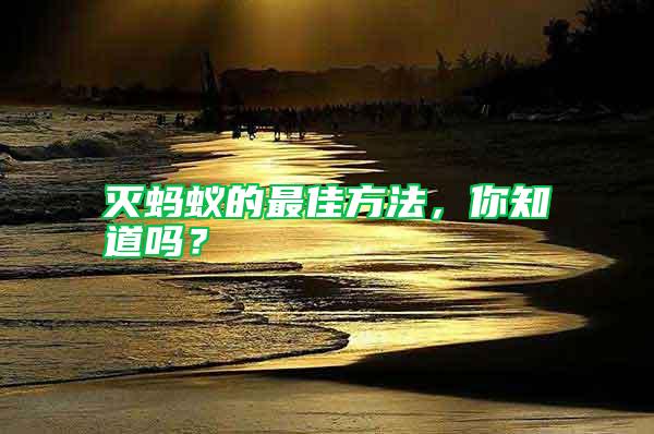 滅螞蟻的最佳方法，你知道嗎？