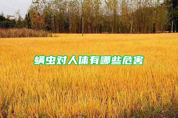螨蟲(chóng)對(duì)人體有哪些危害