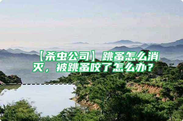 【殺蟲(chóng)公司】跳蚤怎么消滅，被跳蚤咬了怎么辦？